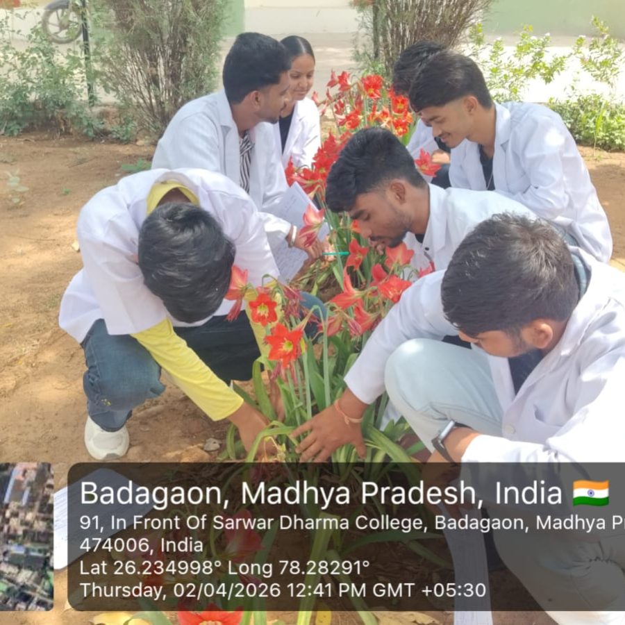 WhatsApp Image 2026-07-03 at 12.22.10 PM (4)